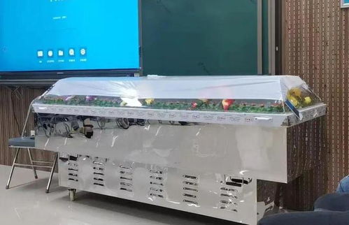 跨界融合 從殯葬專業(yè)到計(jì)算機(jī)批發(fā)，膽識(shí)鋪就多元職業(yè)路